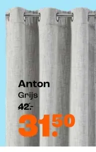 Promotie: Anton