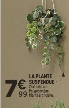Offre: La plante suspendue