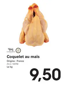 Offre: Coquelet au maïs