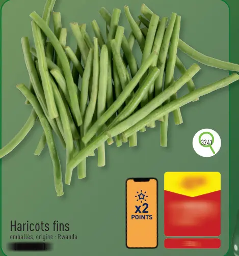 Offre: Haricots fins