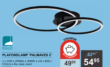 Aanbieding: PLAFONDLAMP 'PALMAVES 2'