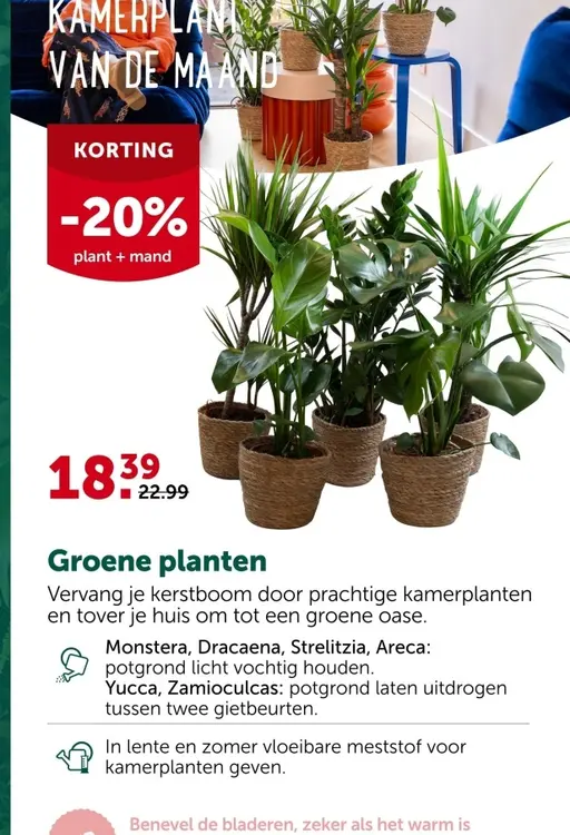 Promotie: Groene planten