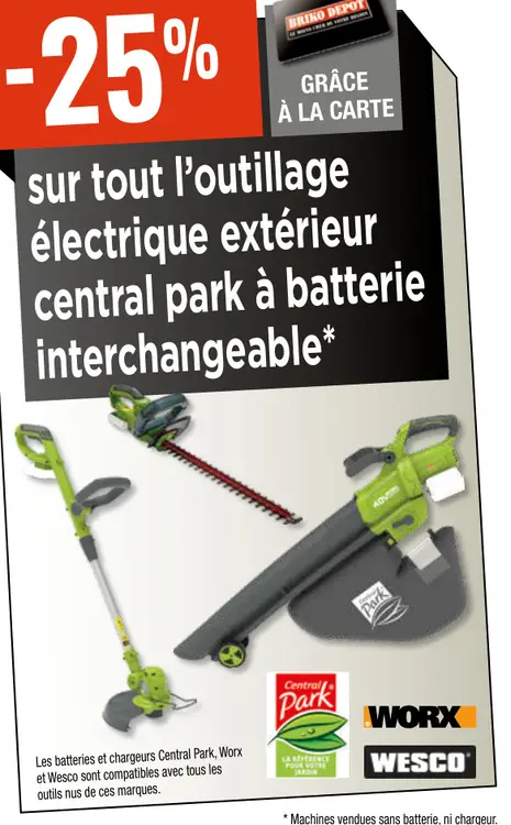 Offre: Outillage électrique extérieur Central Park à batterie interchangeable