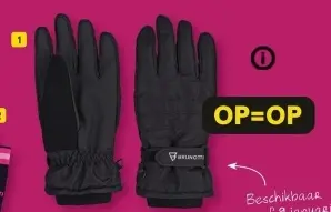 Aanbieding: Skihandschoenen