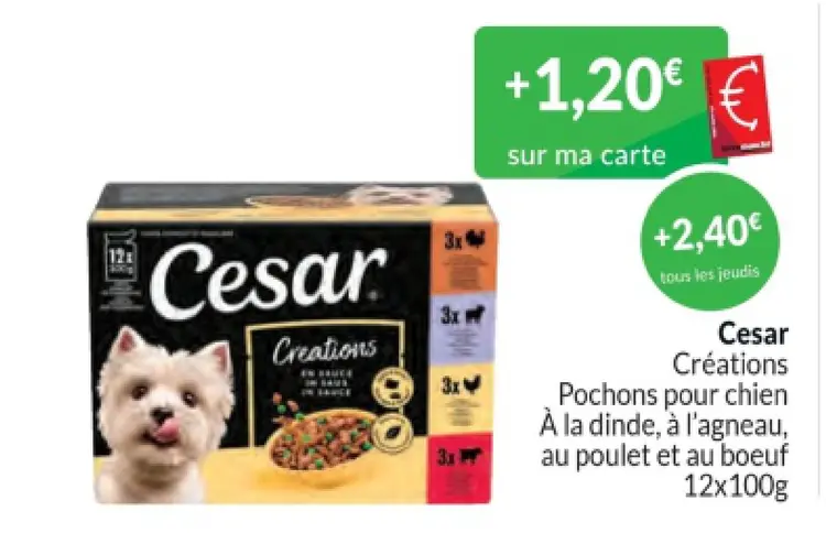 Offre: Cesar Créations