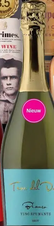 Promotie: Terre del Drago Bianco Vino Spumante Brut