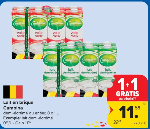 Offre: Lait en brique