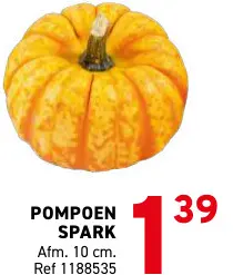 Promotie: Pompoen spark