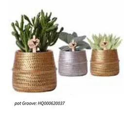 Promotie: pot Groove