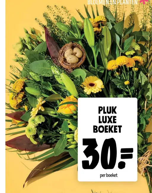 Promotie: Pluk luxe boeket
