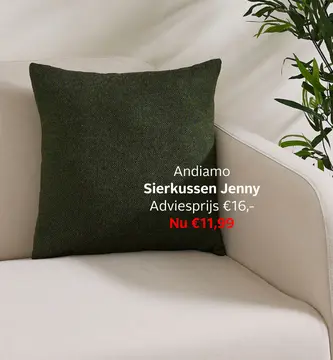 Aanbieding: Sierkussen Jenny