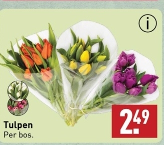 Aanbieding: Tulpen Per bos