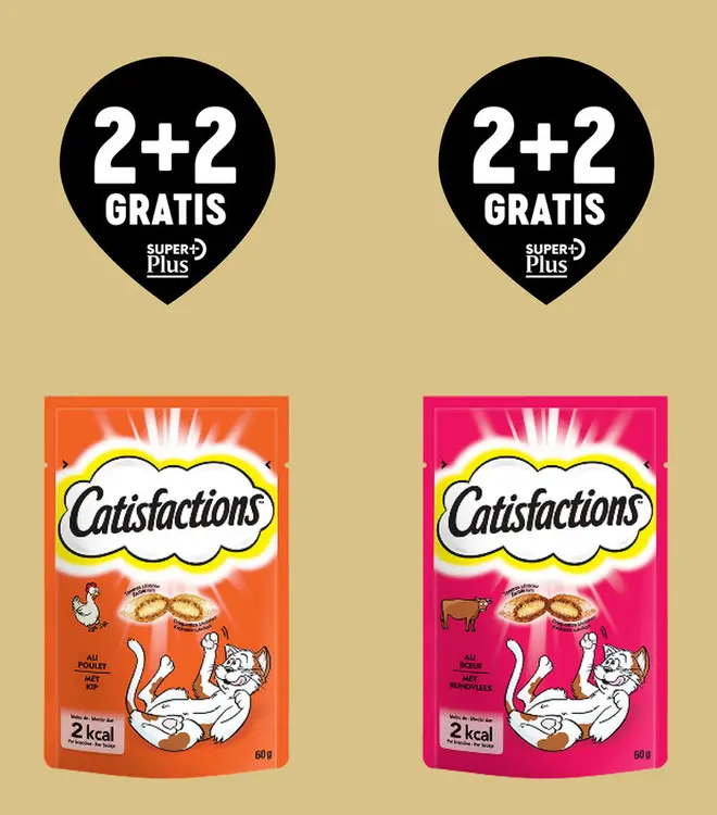 Offre: Catisfactions