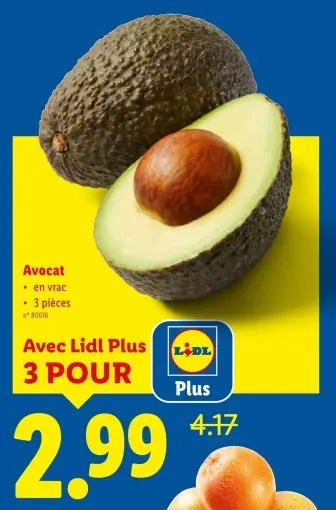 Offre: Avocat