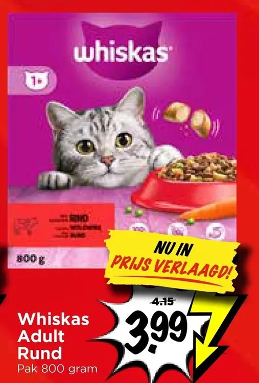 Aanbieding: Adult Rund