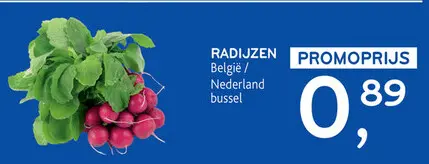 Promotie: Radijzen