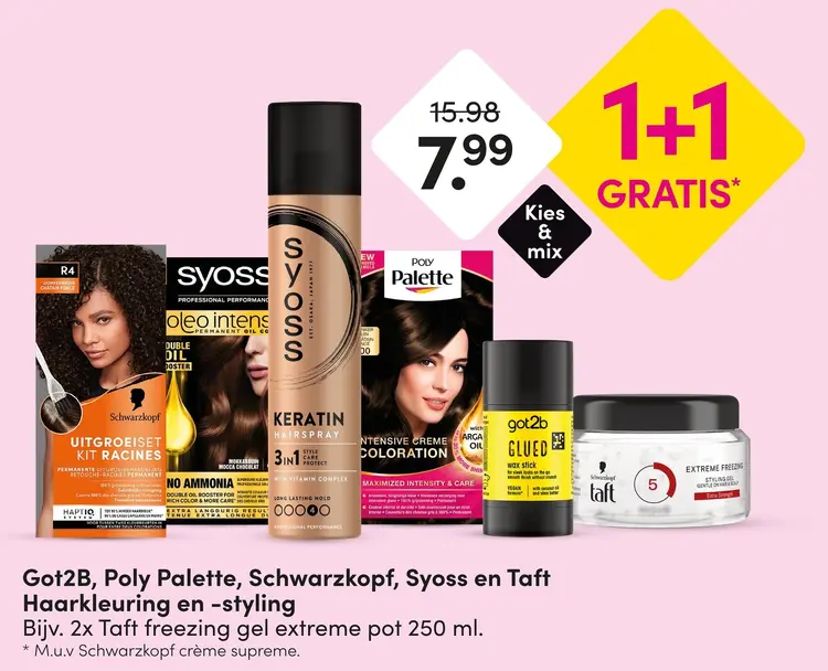 Aanbieding: Haarkleuring en -styling