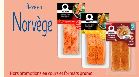 Offre: Saumon traiteur