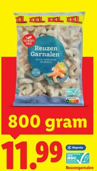 Aanbieding: Reuzen Garnalen