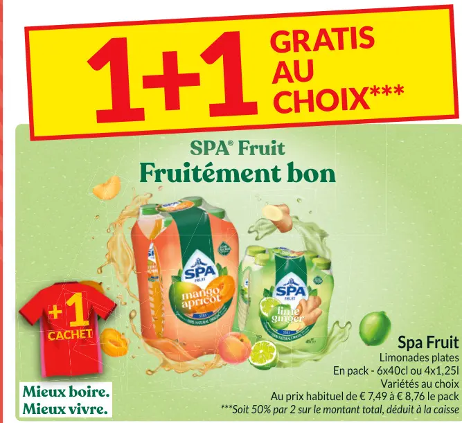 Offre: Spa Fruit Limonades plates