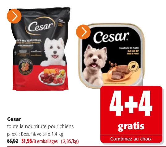 Offre: toute la nourriture pour chiens