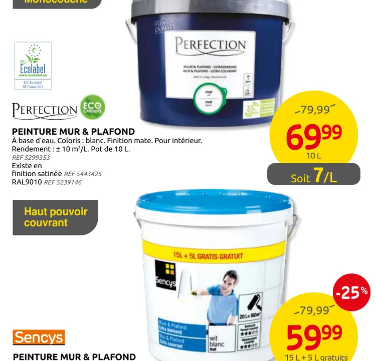 Promotie: Peinture mur & plafond
