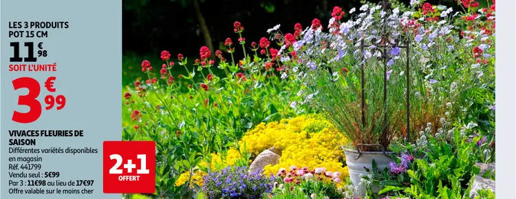 Promotie: Vivaces fleuries de saison
