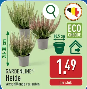 Promotie: Heide