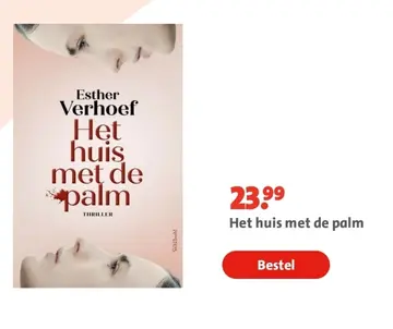 Aanbieding: Het huis met de palm