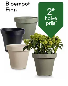 Aanbieding: Bloempot Finn