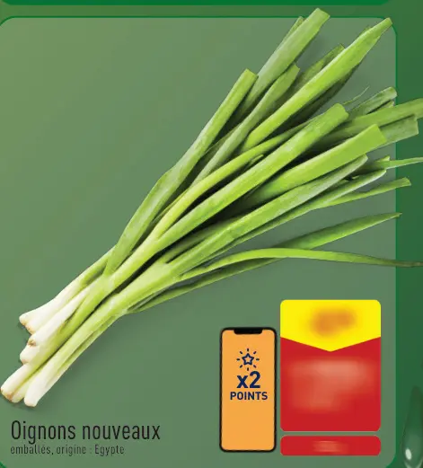 Offre: Oignons nouveaux