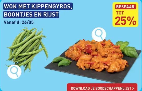 Promotie: Wok met kippengyros, boontjes en rijst