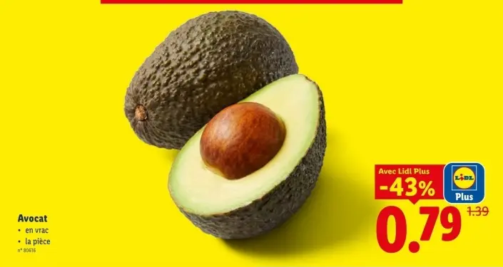 Offre: Avocat
