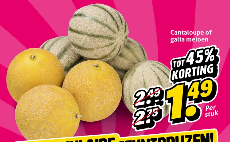 Aanbieding: Cantaloupe of galia meloen
