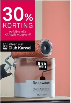 Aanbieding: Rosewood Muurverf