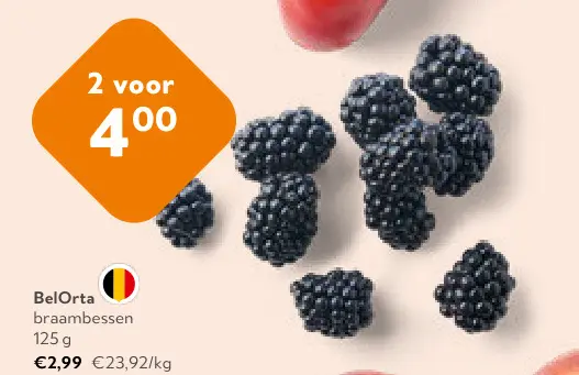 Promotie: Braambessen