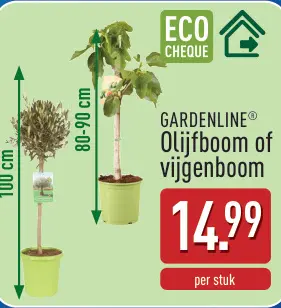 Promotie: Olijfboom of vijgenboom