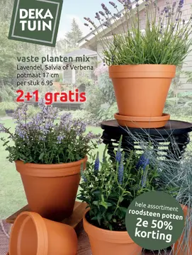 Aanbieding: vaste planten mix