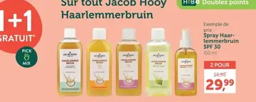 Offre: Spray Haarlemmerbruin