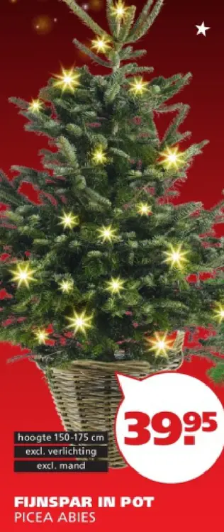 Aanbieding: Fijnspar in pot