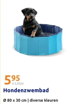 Aanbieding: Hondenzwembad