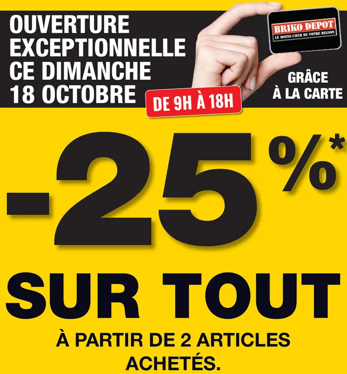 Offre: Briko Depot Sur tout