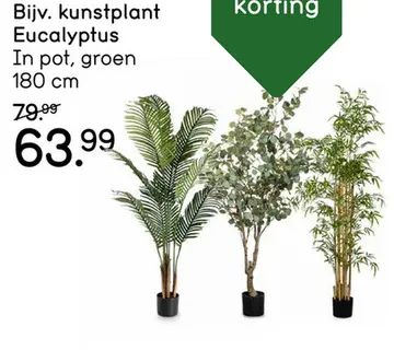Aanbieding: Kunstplant Eucalyptus in pot - groen - 180 cm
