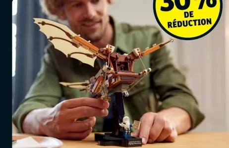 Offre: Flying Machine