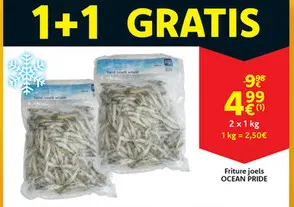 Aanbieding: Friture joels