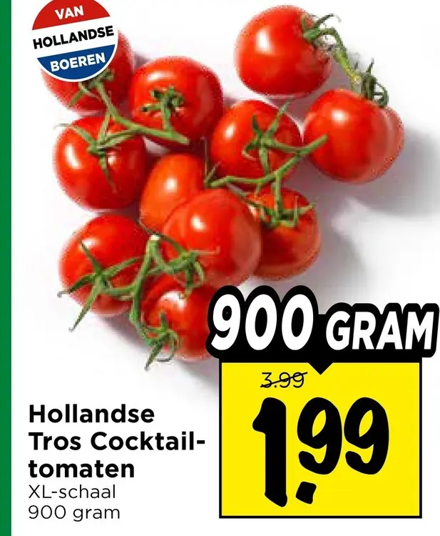Hollandse Tros Cocktailtomaten