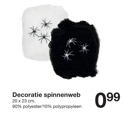 Promotie: Decoratie spinnenweb