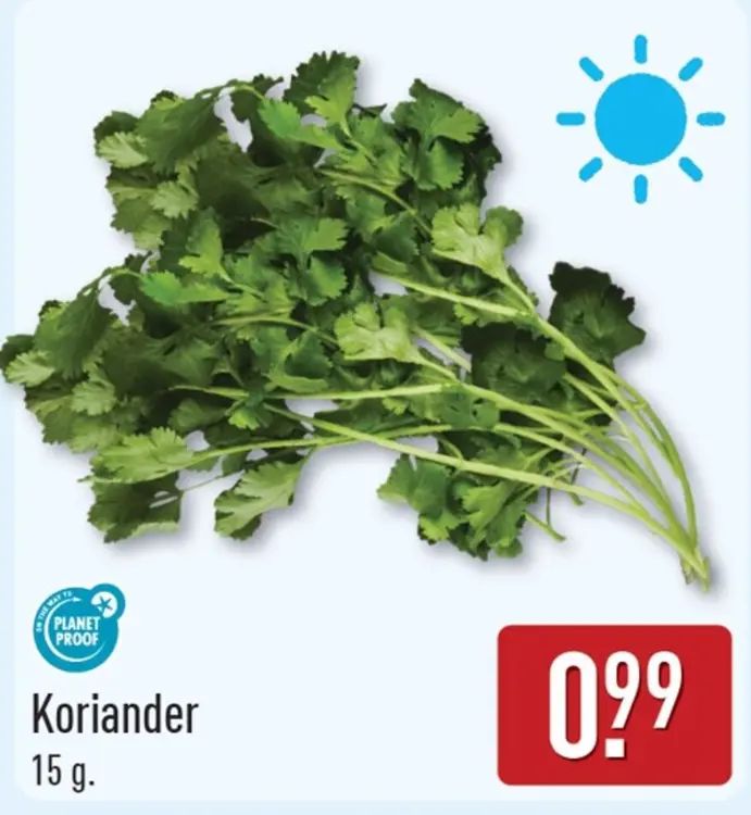 Aanbieding: Koriander