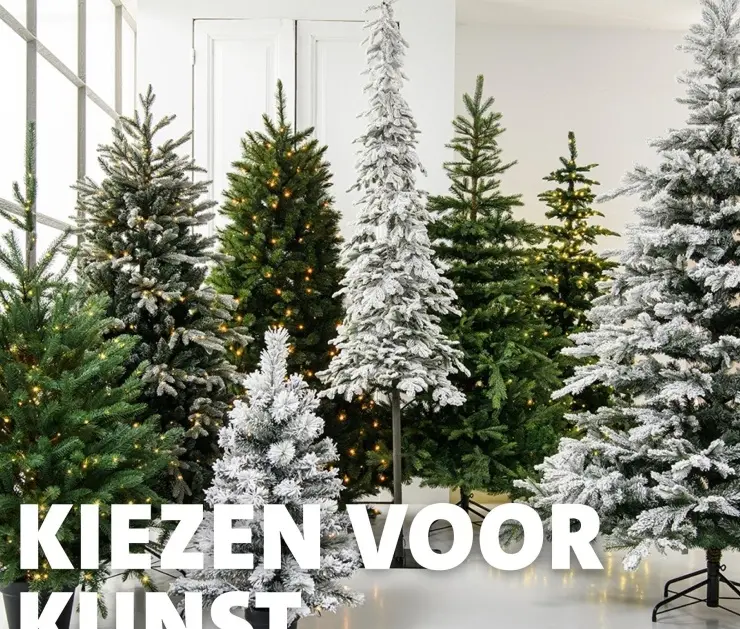 Aanbieding: Kiezen voor kunst