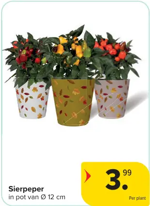 Promotie: Sierpeper